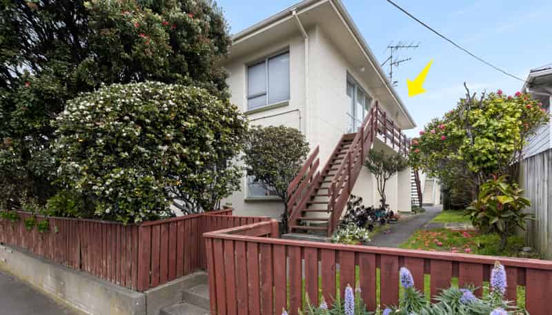 3/154 Onepu Road, Lyall Bay