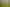 243 Pages Road, Gleniti