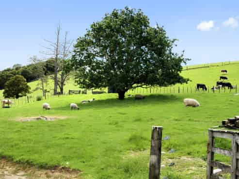 36 Pataua North Road, Whareora