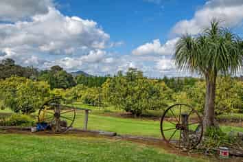 131 Tatton Road, Maungatapere