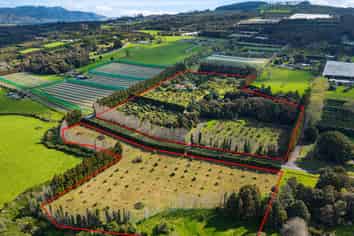 131 Tatton Road, Maungatapere