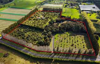 131 Tatton Road, Maungatapere
