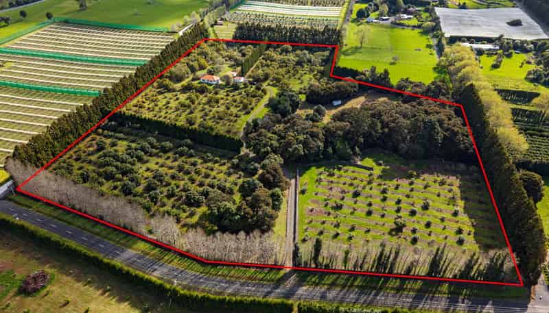 131 Tatton Road, Maungatapere