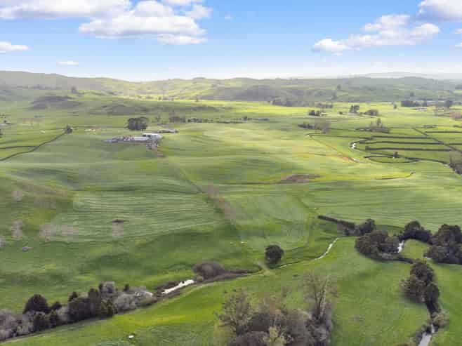  Starkey Rd, Morrinsville
