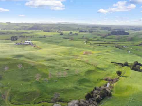  Starkey Rd, Morrinsville