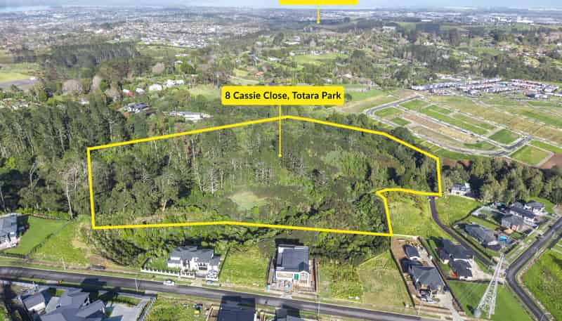 8 Cassie Close, Flat Bush
