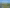 114 Ocean Road, Ohope