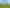 22H Jackson Street, Ngaruawahia