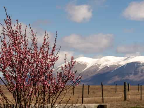 19 Pyramid Terrace, TWIZEL