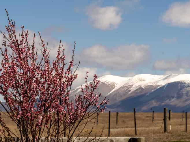 19 Pyramid Terrace, TWIZEL