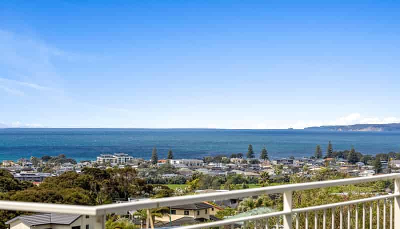 24 Grovenor Drive, Orewa