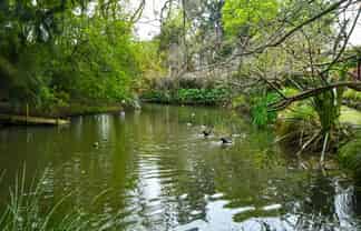 91B Estuary View Road, Waiau Pa