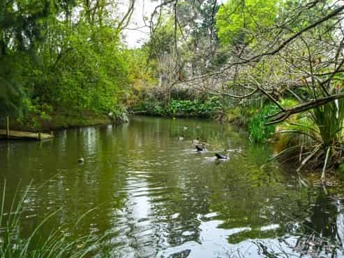 91B Estuary View Road, Waiau Pa