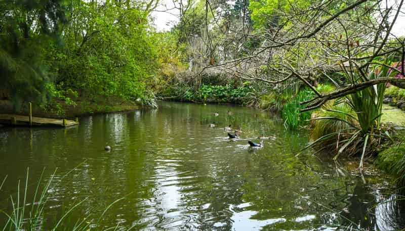 91B Estuary View Road, Waiau Pa