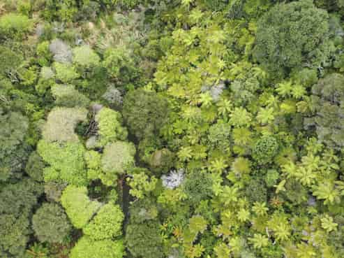 139 Paparoa Road, Whakatane