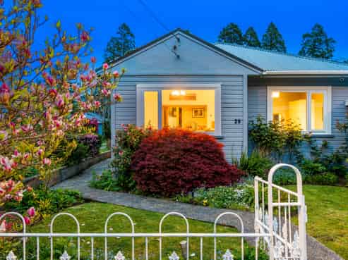 29 Tannadice Street, Normanby