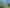 1008 Francis Hicks Avenue, Raureka