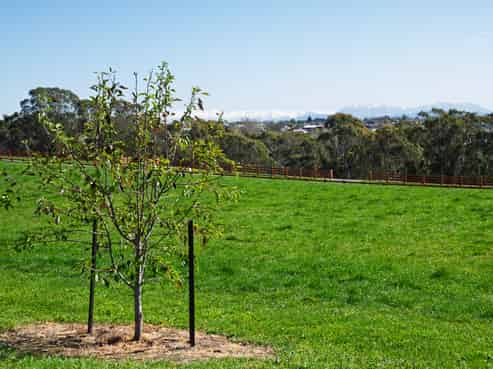  Bluestone Rise, Timaru