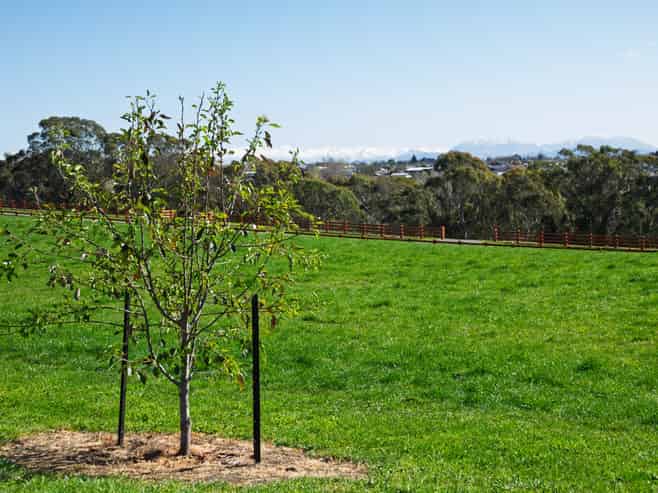  Bluestone Rise, Timaru
