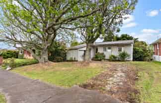 31 Sayegh Street, St Heliers