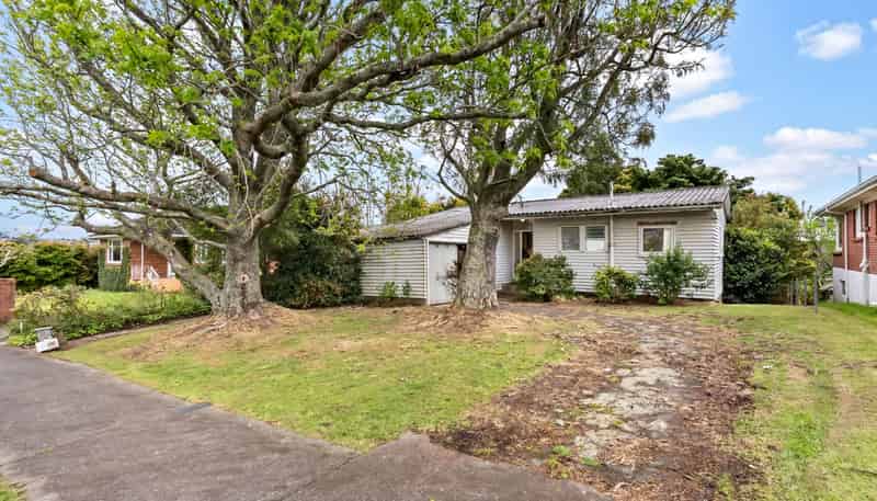 31 Sayegh Street, St Heliers