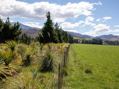  Kowai Road, Springfield