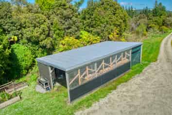 427A Maori Creek Road, Greymouth