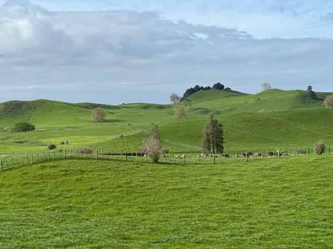 5325A State Highway 29, Matamata