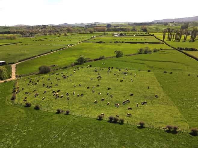 5325A State Highway 29, Matamata