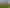 77 Boyd Road, Waiau Pa