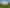 77 Boyd Road, Waiau Pa