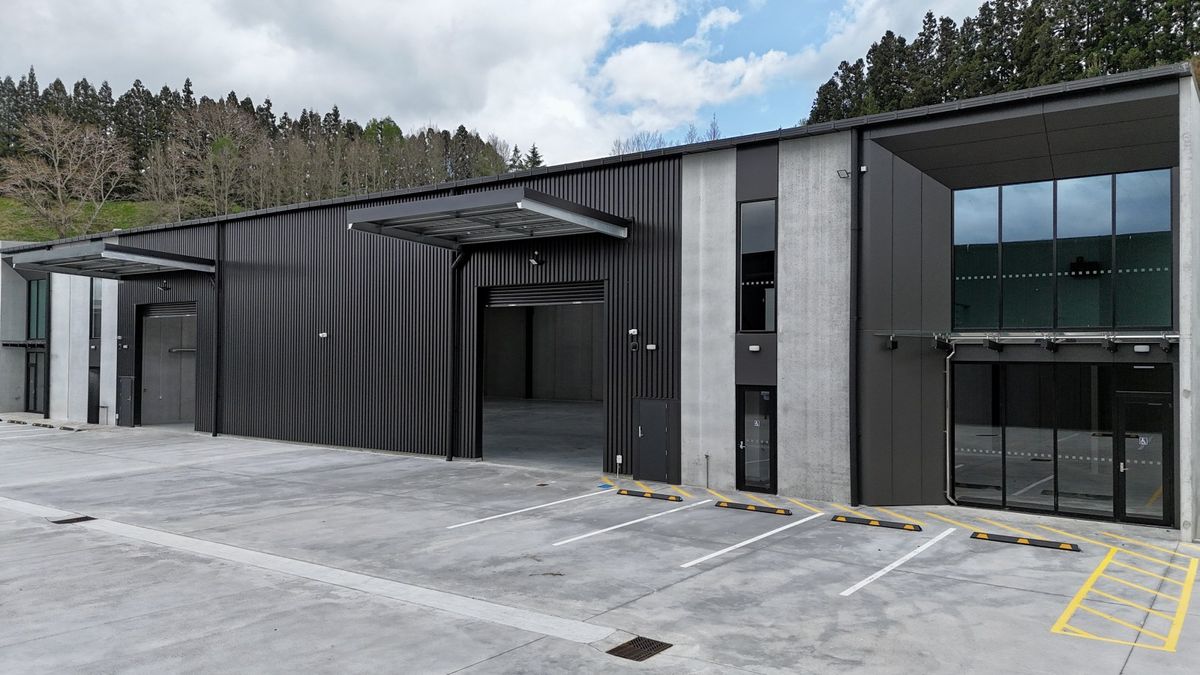Brand new industrial Unit 1 and Unit 2 on Patene - Ansicht 3