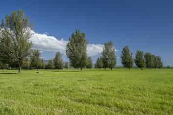 215a Wairio Road, Featherston