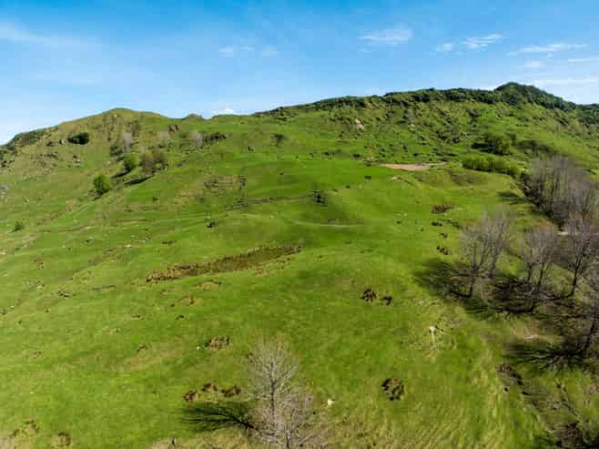 443 b Mangaone Road, Nuhaka