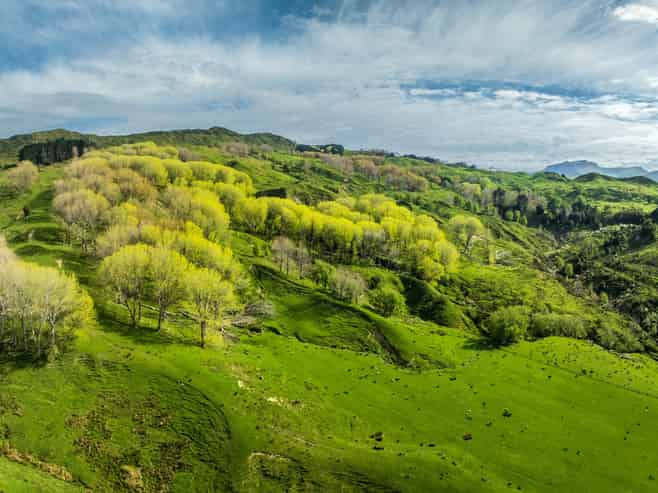 443 b Mangaone Road, Nuhaka