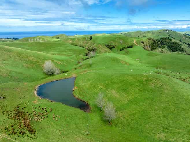 443 b Mangaone Road, Nuhaka