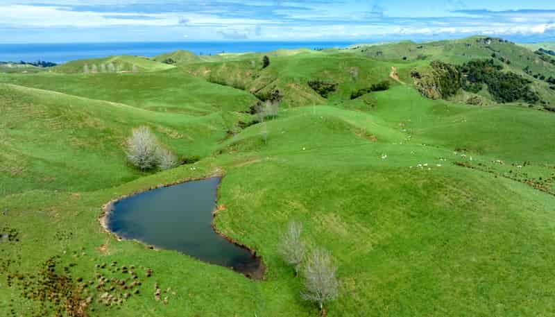 Clonkeen S/443 b Mangaone Road, Nuhaka
