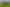 1230 Alfriston Road, Alfriston