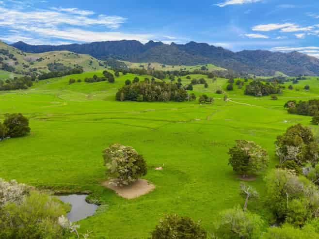 1070 Tangihua Road, Maungakaramea