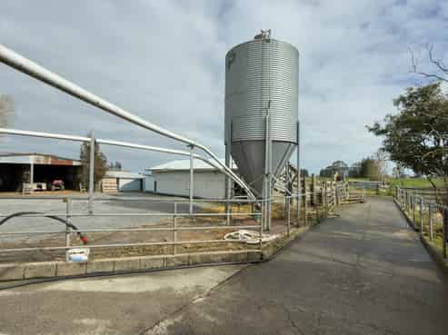 118 + 119 Wharepoa Road, Netherton