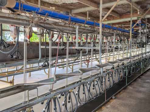 118 + 119 Wharepoa Road, Netherton