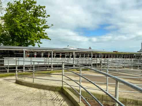 118 + 119 Wharepoa Road, Netherton