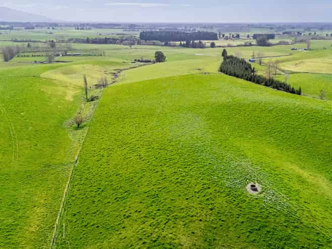 538 Pleasant Valley Road, Geraldine Downs