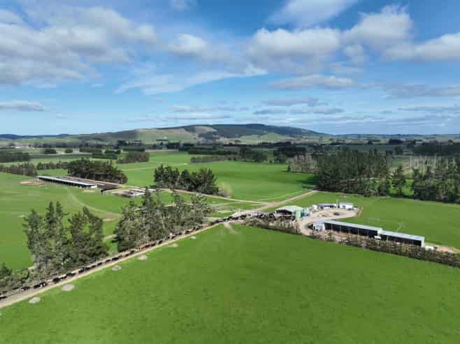 113 Scott Road, Milton