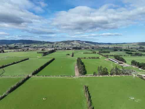 113 Scott Road, Milton