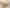 1156 Braemar Road, Rotoma