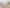 202 Redwood Street, Witherlea