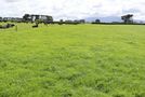 939 Auroa Road, Manaia, South Taranaki, Taranaki