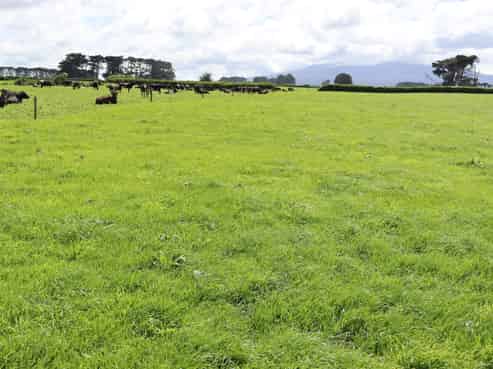 939 Auroa Road, Auroa