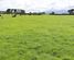 939 Auroa Road, Manaia, South Taranaki, Taranaki